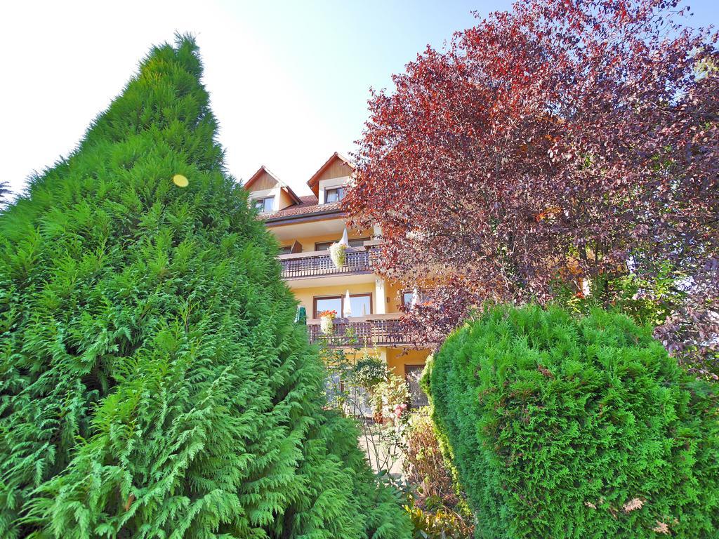 Ringhotel Garni Pflug Oberkirch  Dış mekan fotoğraf