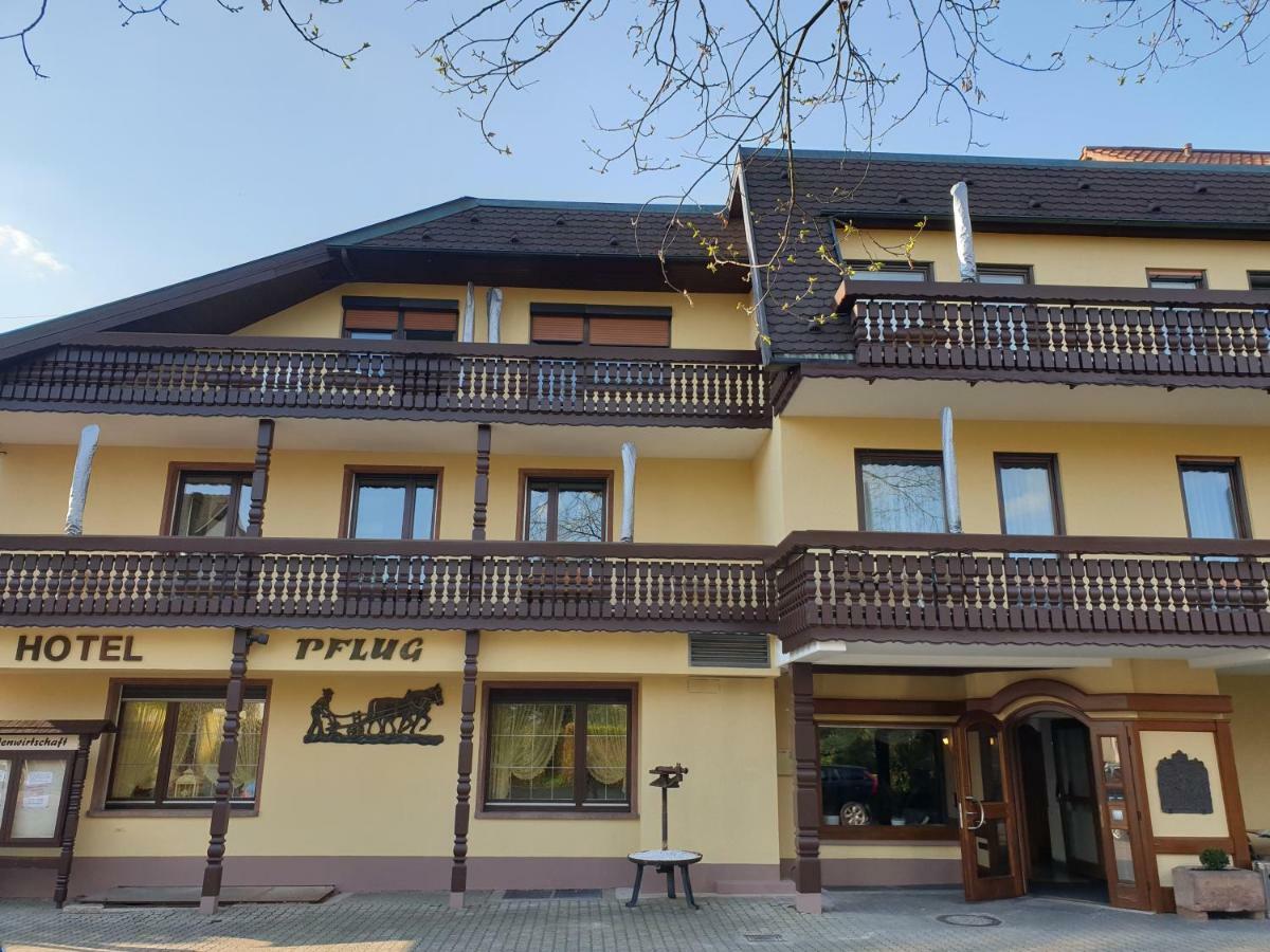 Ringhotel Garni Pflug Oberkirch  Dış mekan fotoğraf